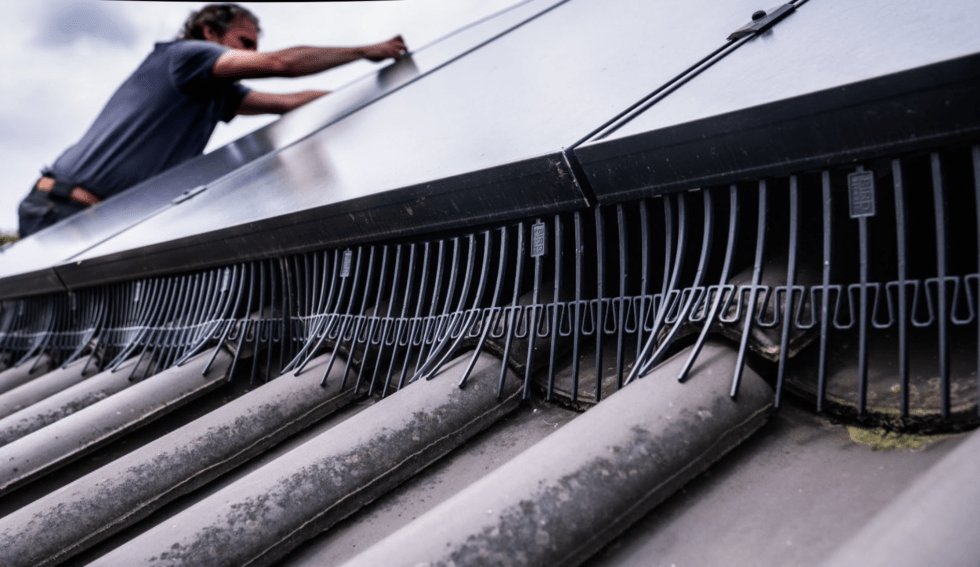 Mallas antiaves paneles solares